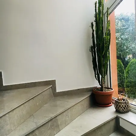 Bruno Guest house *