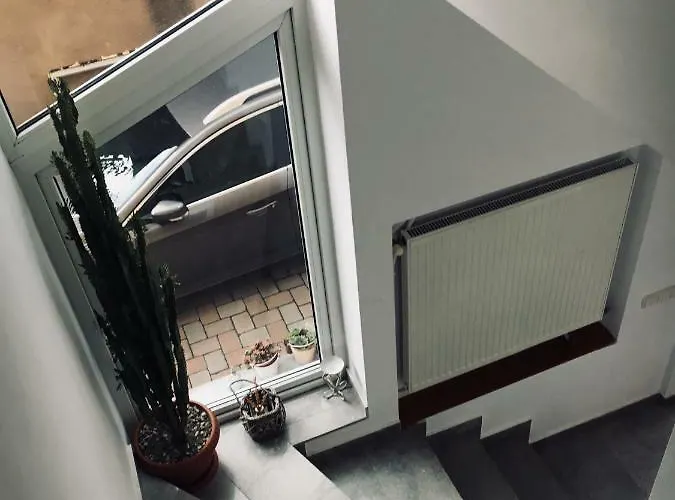 Bruno Pensión Cluj-Napoca